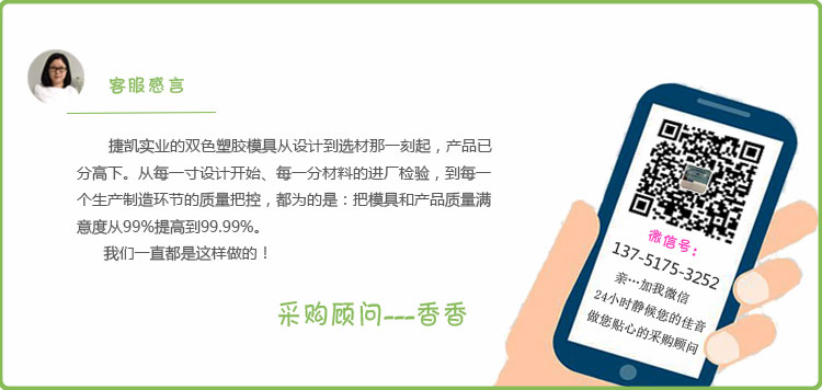 數(shù)據(jù)檢測儀雙色模具 